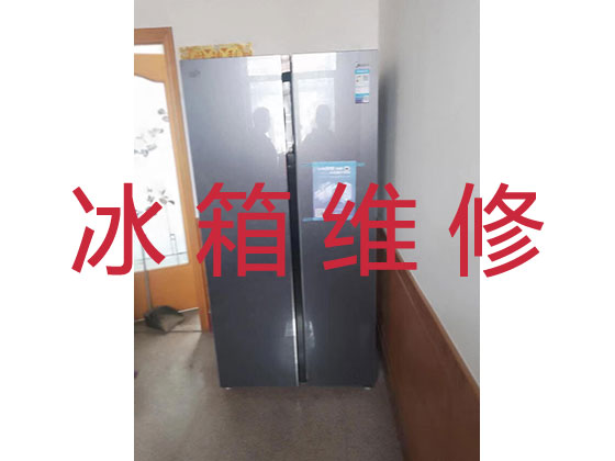 重庆专业冰箱安装